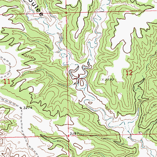 Topographic Map of Buck Coulee, MT
