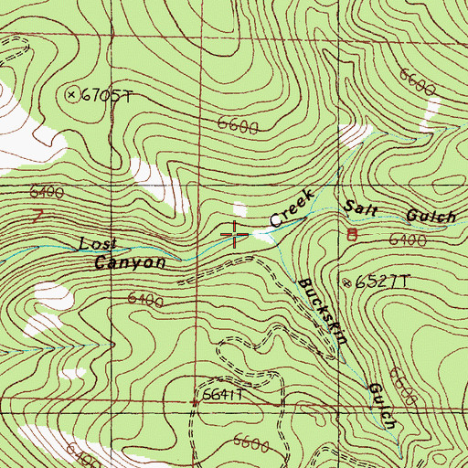 Topographic Map of Buckskin Gulch, MT