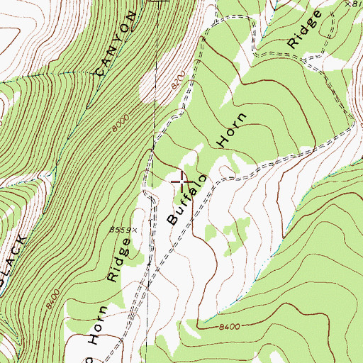 Topographic Map of Buffalo Horn Ridge, MT