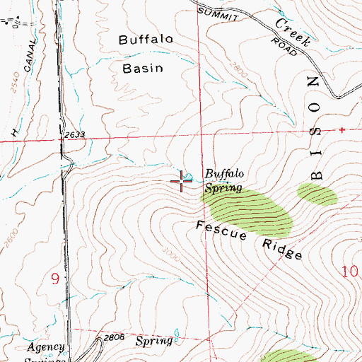 Topographic Map of Buffalo Spring, MT