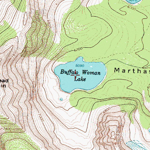 Topographic Map of Buffalo Woman Lake, MT