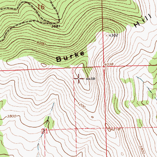 Topographic Map of Burke Hill, MT