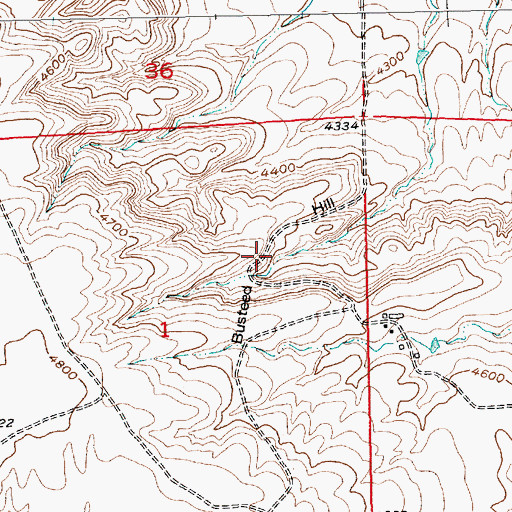 Topographic Map of Busteed Hill, MT