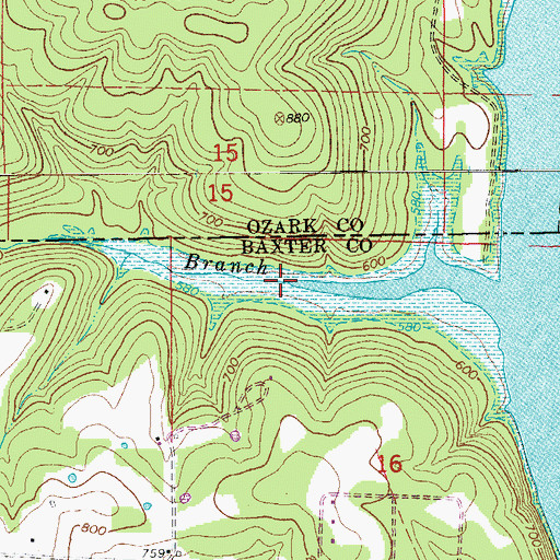 Topographic Map of Fords Branch, AR