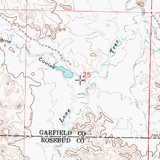 Topographic Map of Caladine Coulee, MT