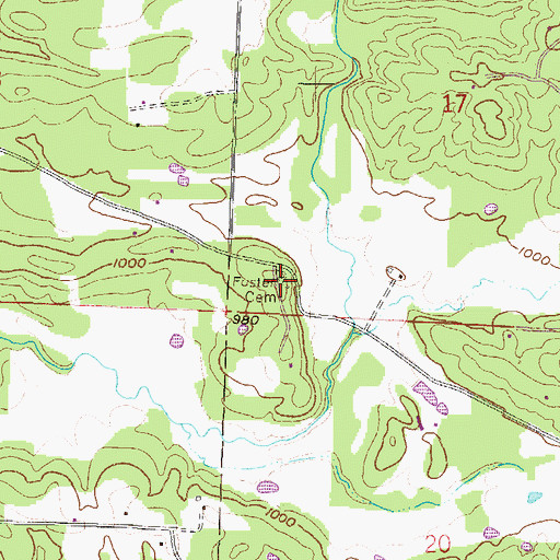 Topographic Map of Foster Cemetery, AR