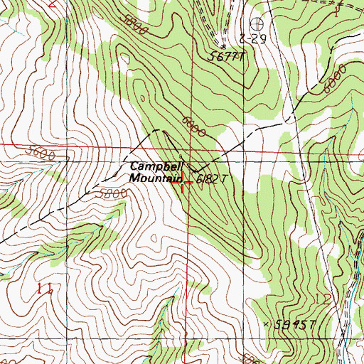 Topographic Map of Campbell Mountain, MT