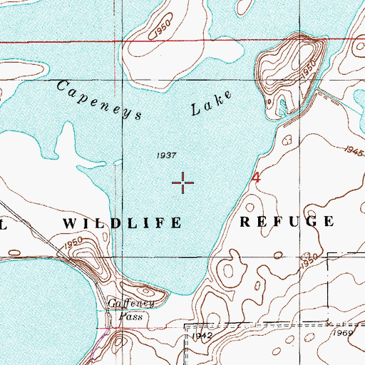 Topographic Map of Capeneys Lake, MT