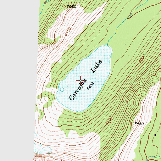 Topographic Map of Carcajou Lake, MT