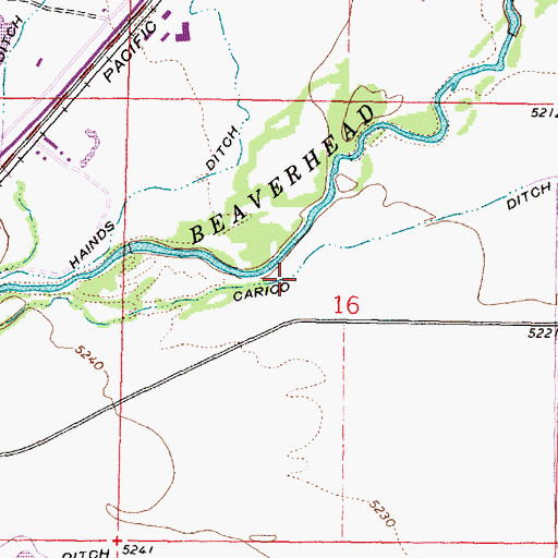Topographic Map of Carico Ditch, MT