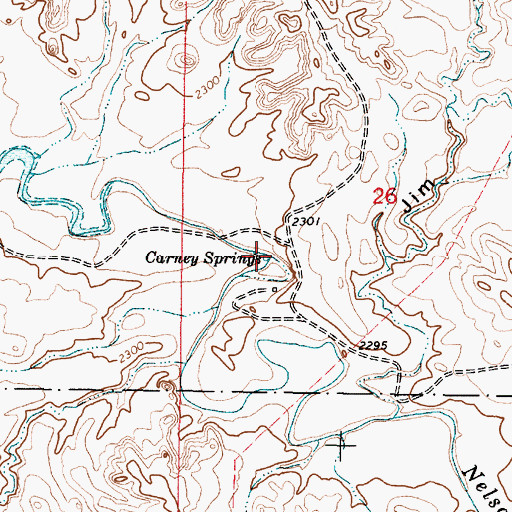 Topographic Map of Carney Springs, MT