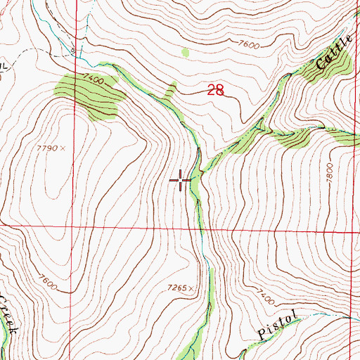 Topographic Map of Cattle Creek, MT