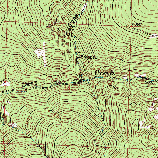 Topographic Map of Cayuse Gulch, MT