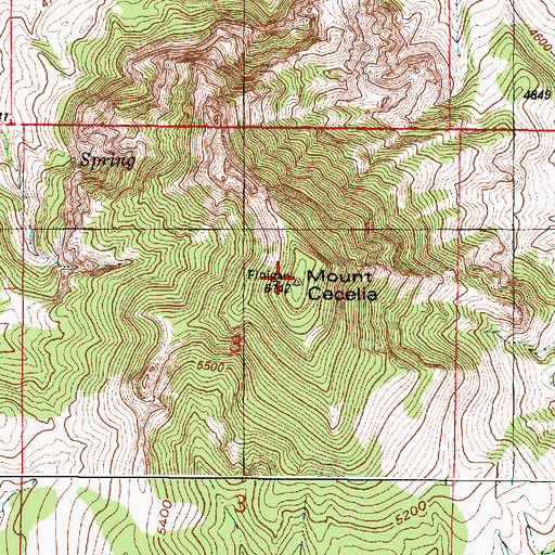 Topographic Map of Mount Cecelia, MT