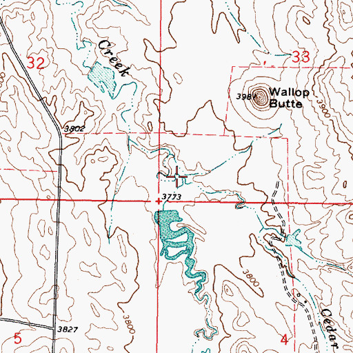 Topographic Map of Cedar Creek, MT
