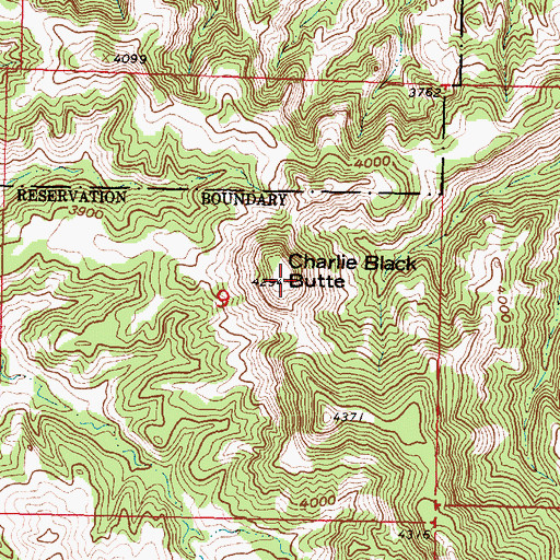 Topographic Map of Charlie Black Butte, MT