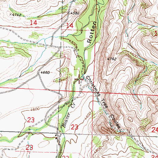 Topographic Map of Christmas Tree Coulee, MT
