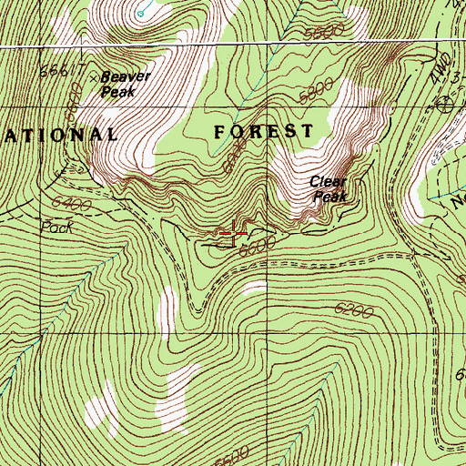 Topographic Map of Clear Peak, MT