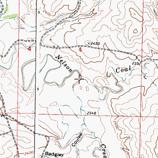Topographic Map of Coal Creek, MT