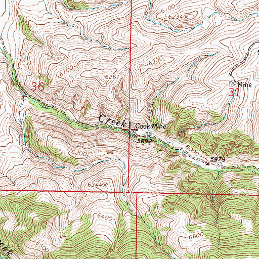 Topographic Map of Cook Mine, MT