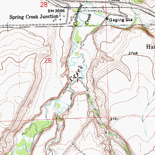 Topographic Map of Coyote Creek, MT
