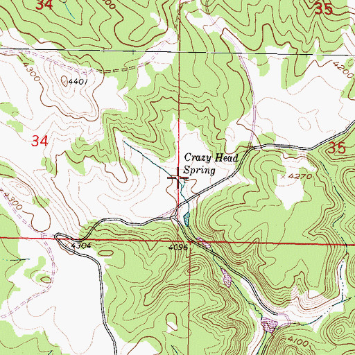 Topographic Map of Crazy Head Spring, MT