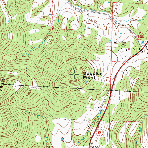 Topographic Map of Gobbler Point, AR