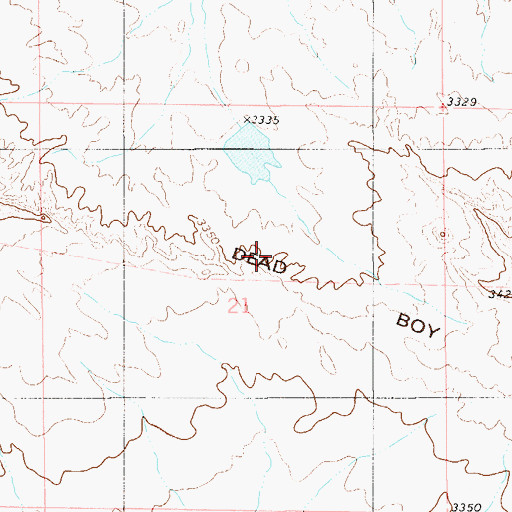Topographic Map of Dead Boy Divide, MT