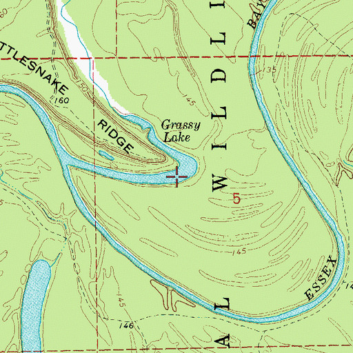 Topographic Map of Grassy Lake, AR