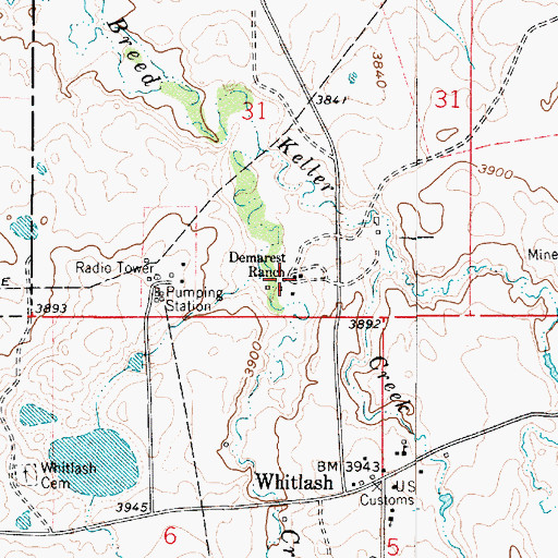 Topographic Map of Demarest Ranch, MT