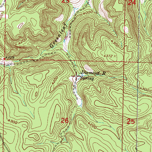 Topographic Map of Diamond R Spring, MT