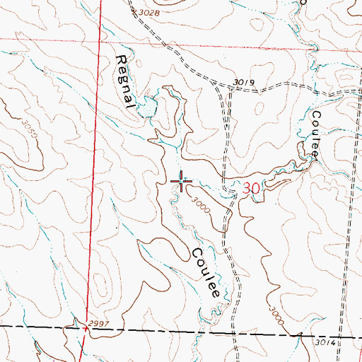 Topographic Map of Diego Coulee, MT