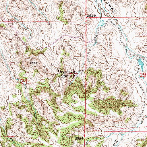 Topographic Map of Drennin Spring, MT