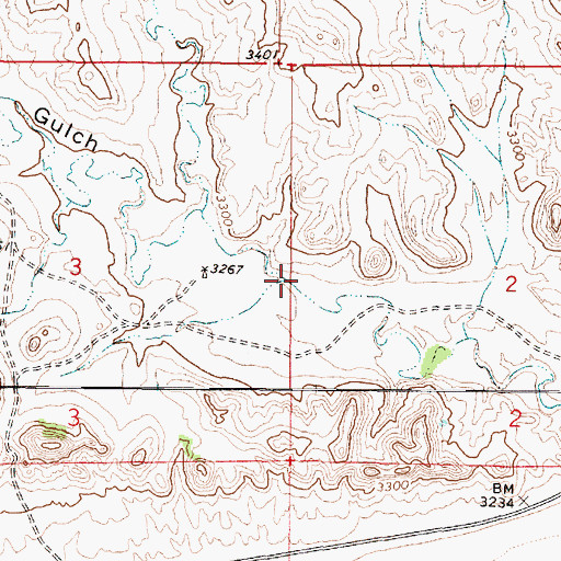 Topographic Map of Dry Fork Fire Gulch, MT