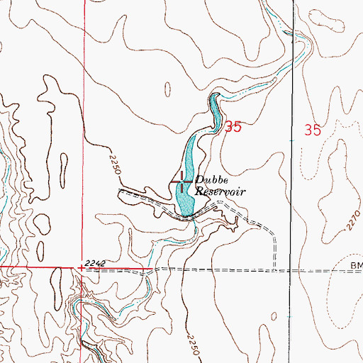 Topographic Map of Dubbe Reservoir, MT