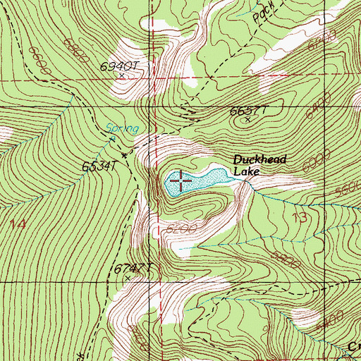 Topographic Map of Duckhead Lake, MT