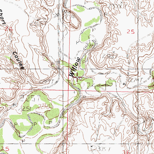 Topographic Map of Eagles Nest Coulee, MT