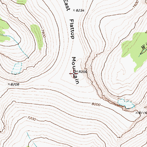 Topographic Map of East Flattop Mountain, MT