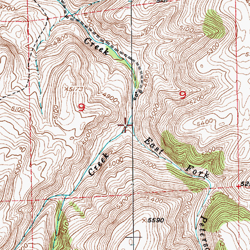 Topographic Map of East Fork Peterson Creek, MT