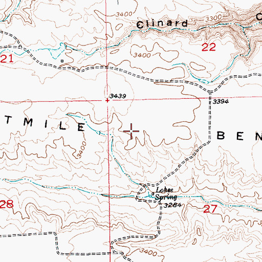 Topographic Map of Eightmile Bench, MT