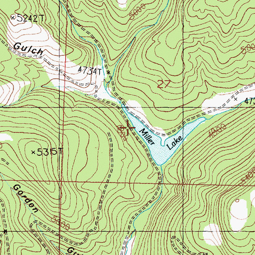 Topographic Map of Elk Swamp Creek, MT