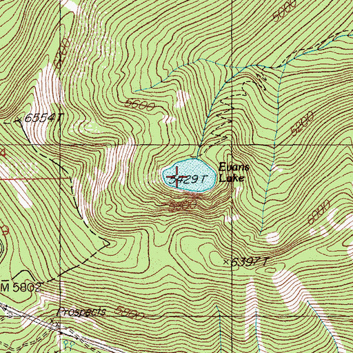 Topographic Map of Evans Lake, MT
