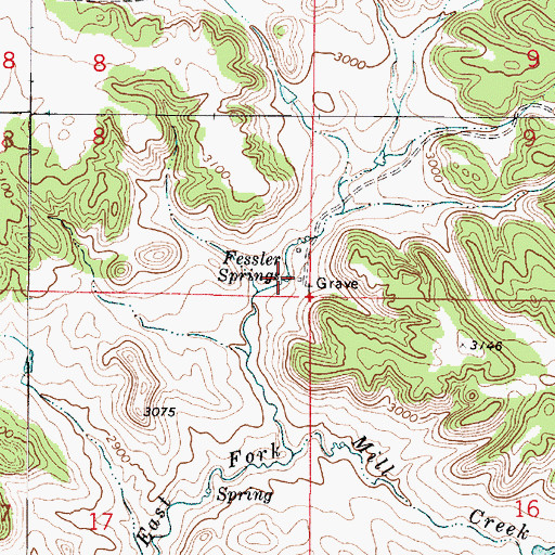 Topographic Map of Fessler Springs, MT