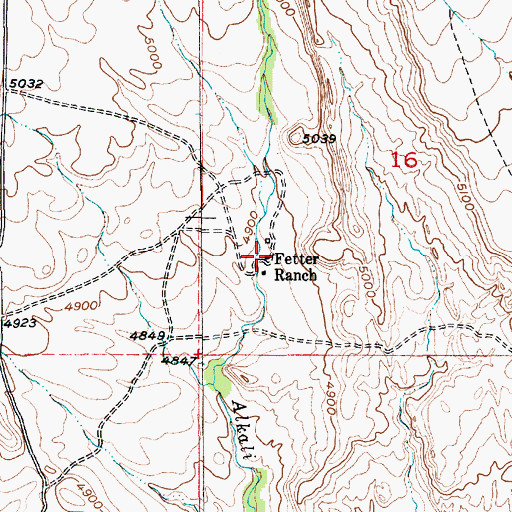 Topographic Map of Fetter Ranch, MT