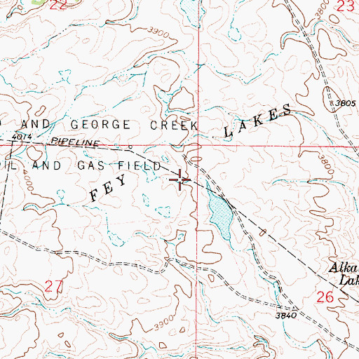 Topographic Map of Fey Lakes, MT