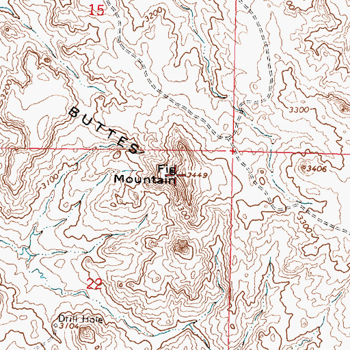 Topographic Map of Fig Mountain, MT