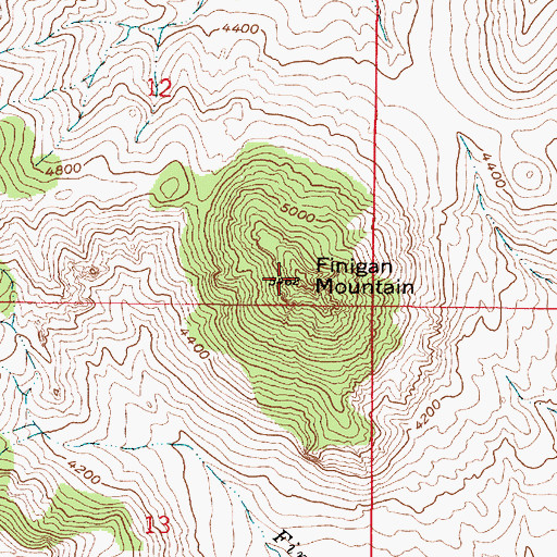 Topographic Map of Finigan Mountain, MT