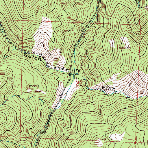Topographic Map of Finn Gulch, MT