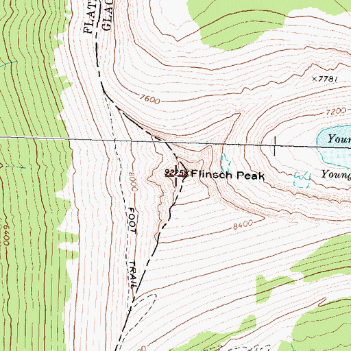 Topographic Map of Flinsch Peak, MT