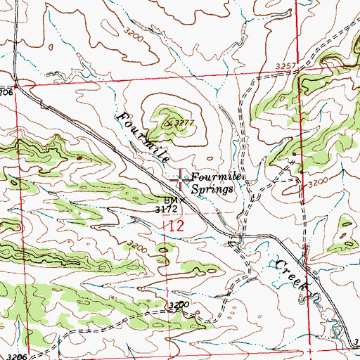 Topographic Map of Fourmile Springs, MT